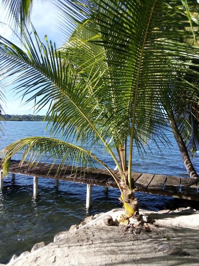 El Toucan Loco Floating Lodges Tierra Oscura Buitenkant foto