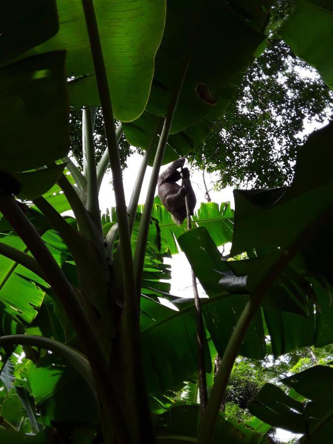 El Toucan Loco Floating Lodges Tierra Oscura Buitenkant foto